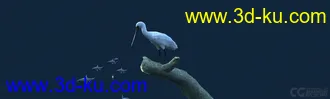 3D打印模型白鹭吃鱼（有动画）-鸟的图片