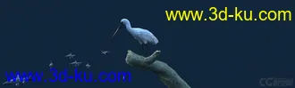 3D打印模型白鹭吃鱼（有动画）-鸟的图片