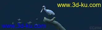 3D打印模型白鹭吃鱼（有动画）-鸟的图片