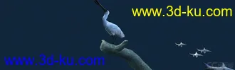 3D打印模型白鹭吃鱼（有动画）-鸟的图片