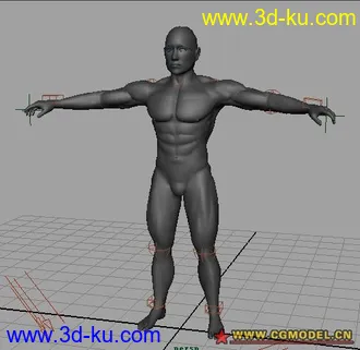 绑定好的肌肉男模型的图片