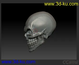 3D打印模型ZB 邪恶骷髅的图片