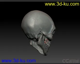 3D打印模型ZB 邪恶骷髅的图片