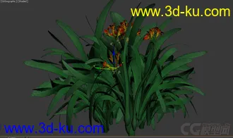 3D打印模型花的图片