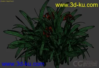 3D打印模型花的图片