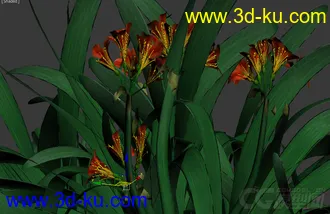 3D打印模型花的图片