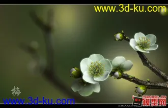 3D打印模型梅花。带开放动画的图片