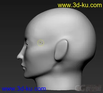 3D打印模型人体头像的图片