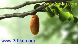 3D打印模型超精致蝴蝶破茧动画的图片
