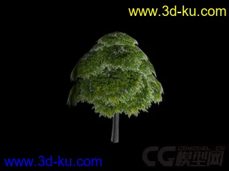 3D打印模型杨树的图片