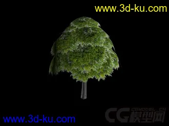 3D打印模型杨树的图片