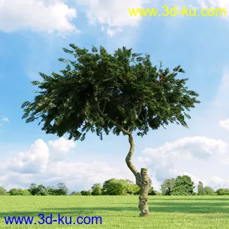 3D打印模型高精细树木34棵的图片