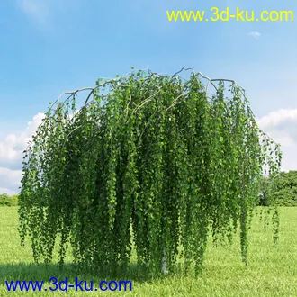 3D打印模型高精细树木34棵的图片