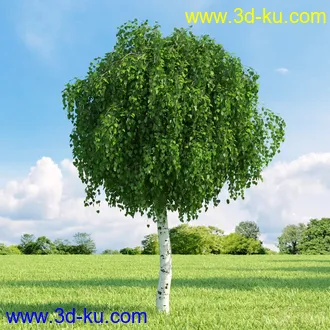 3D打印模型高精细树木34棵的图片