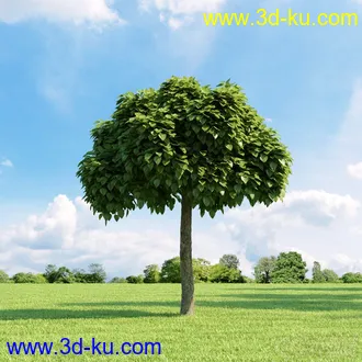 3D打印模型高精细树木34棵的图片