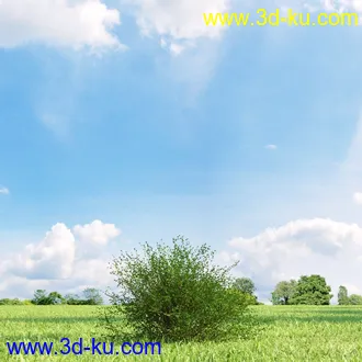 3D打印模型高精细树木34棵的图片