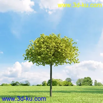 3D打印模型高精细树木34棵的图片