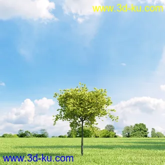 3D打印模型高精细树木34棵的图片