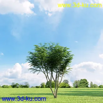 3D打印模型高精细树木34棵的图片
