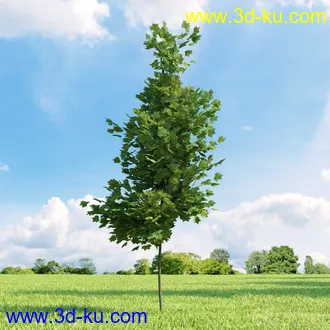 3D打印模型高精细树木34棵的图片