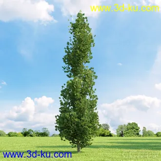 3D打印模型高精细树木34棵的图片