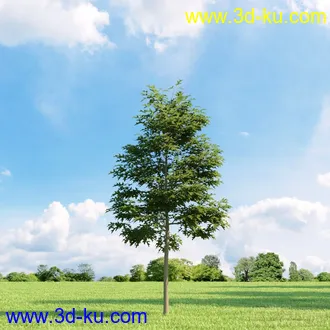 3D打印模型高精细树木34棵的图片