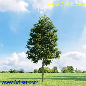 3D打印模型高精细树木34棵的图片