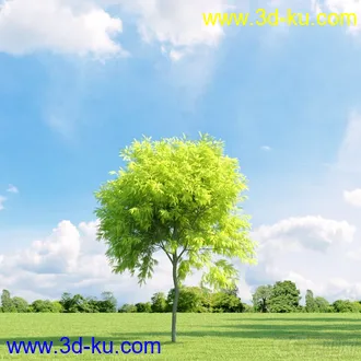 3D打印模型高精细树木34棵的图片