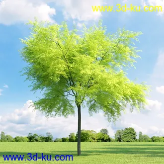 3D打印模型高精细树木34棵的图片