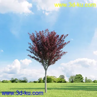 3D打印模型高精细树木34棵的图片