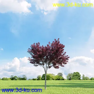3D打印模型高精细树木34棵的图片