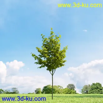 3D打印模型高精细树木34棵的图片