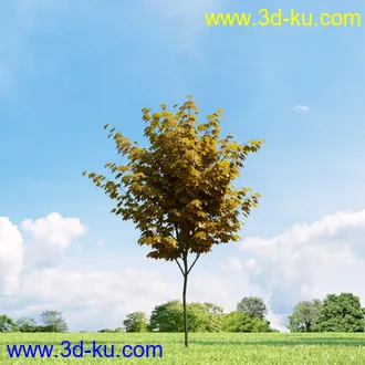 3D打印模型高精细树木34棵的图片