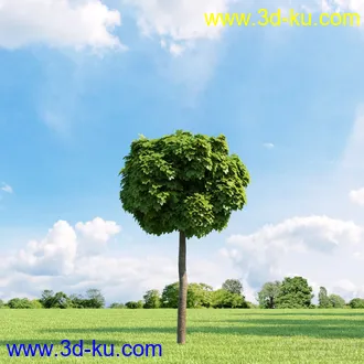 3D打印模型高精细树木34棵的图片