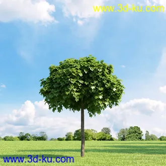 3D打印模型高精细树木34棵的图片