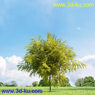 3D打印模型高精细树木34棵的图片