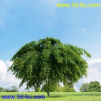 3D打印模型高精细树木34棵的图片