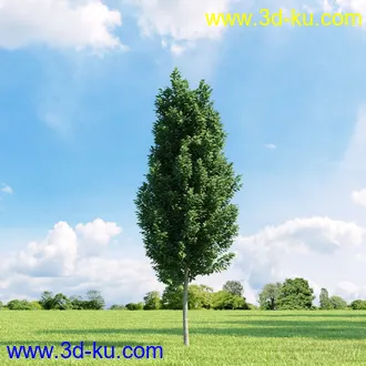 3D打印模型高精细树木34棵的图片