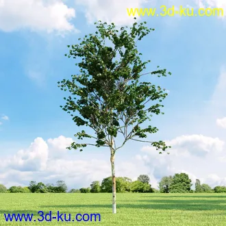 3D打印模型高精细树木34棵的图片