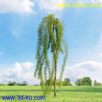 3D打印模型高精细树木34棵的图片