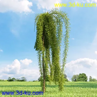 3D打印模型高精细树木34棵的图片
