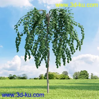 3D打印模型高精细树木34棵的图片