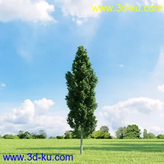 3D打印模型高精细树木34棵的图片