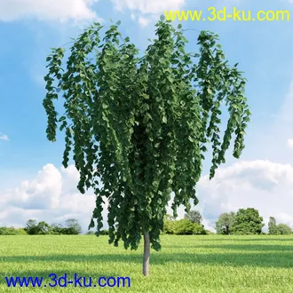 3D打印模型高精细树木34棵的图片