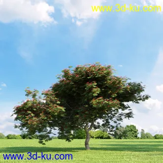 3D打印模型高精细树木34棵的图片