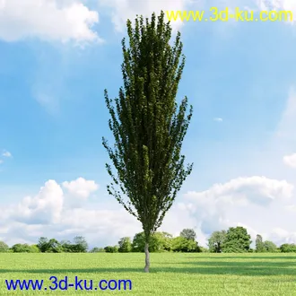 3D打印模型高精细树木34棵的图片