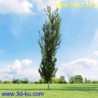 3D打印模型高精细树木34棵的图片