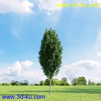 3D打印模型高精细树木34棵的图片