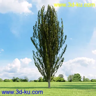 3D打印模型高精细树木34棵的图片