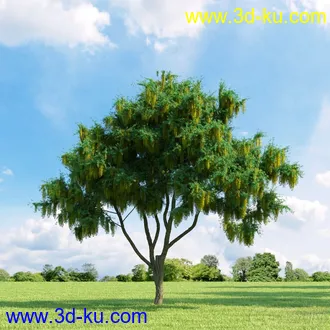 3D打印模型高精细树木34棵的图片